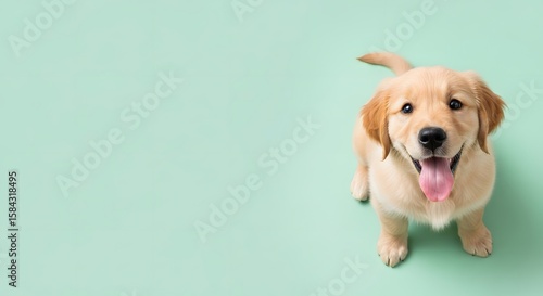 Joyful Golden Retriever Puppy Portrait on Pastel Green Background