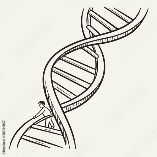 DNA Replication Process Double Helix Structure Genetic Code Molecular Biology Illustration