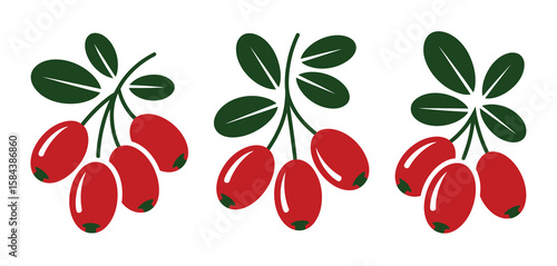 Three sprigs of ripe red barberries with green leaves on a white background