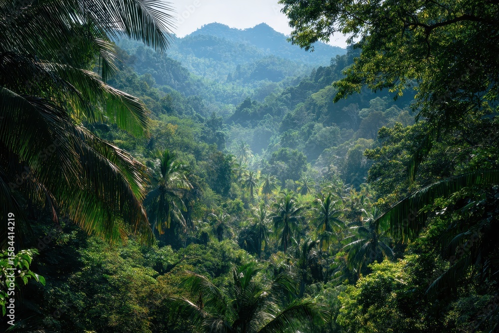 Fototapeta premium Asian tropical rainforest