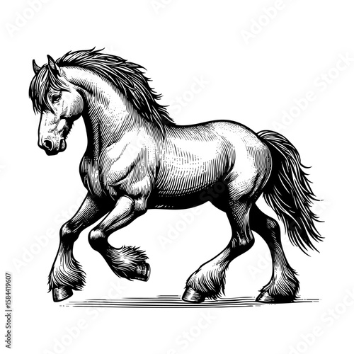 Horse running up engraving black and white outline. Scratch board imitation.  illustrated in vintage line art style on a white background.