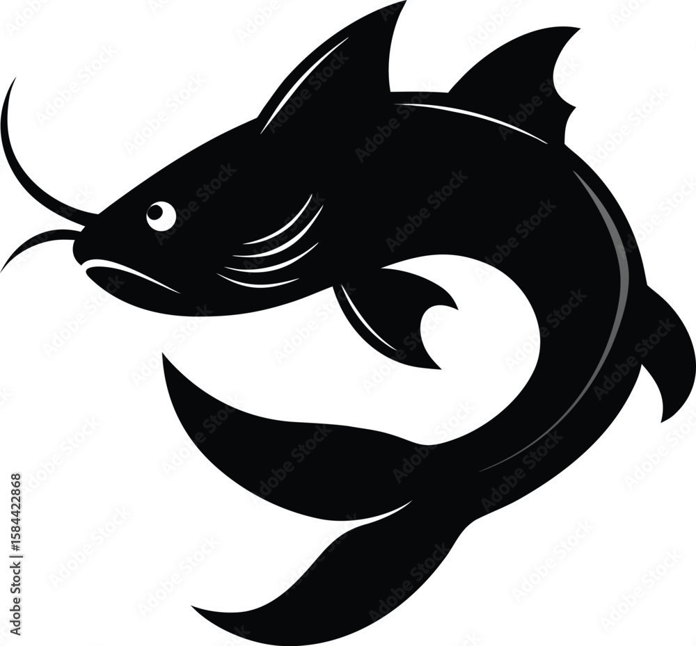 Fototapeta premium Silhouette of a Pangasius Catfish with Flowing Fins
