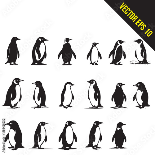 set of Silhouette penguin standing graphic animal black and white vector illustration