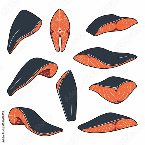 Set of vector illustrations featuring fresh salmon fillets and steaks with skin, showcasing various cuts of healthy fish for culinary use.