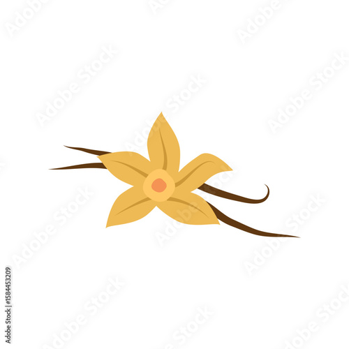 Vanilla flower icon. Flat illustration of vanilla flower vector icon for web design