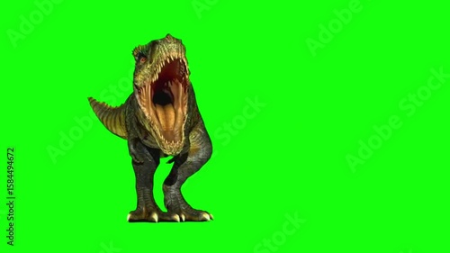 Angry dinosaur walking on green screen tyrannosaurus rex dinosaur, T-Rex roaring dinosaur with realistic texture, walking confidently against a green screen background