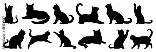 British Shorthair Cat With Plump Body And Round Face In Various Poses, Silhouette Collection In Flat Black Vector Design Isolated On White Background For Pet And Breed Illustration