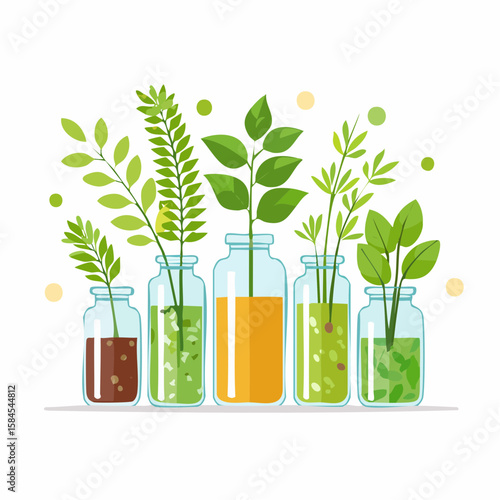 Collection of Herbs and Spices in Apothecary Bottles