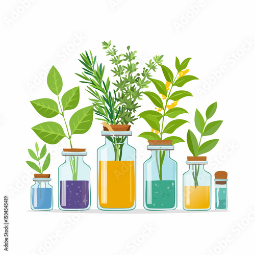 Collection of Herbs and Spices in Apothecary Bottles