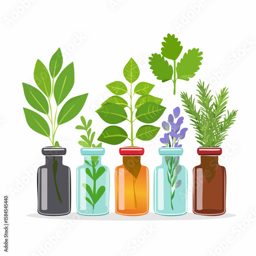 Collection of Herbs and Spices in Apothecary Bottles