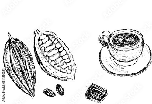 Hand-drawn cocoa pod, beans, chocolate, and coffee cup illustration  