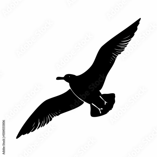 Silhouette of a seagull soaring through the air with wings spread wide open