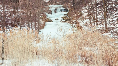 Wallpaper Mural 얼음으로 뒤덮힌 산과 바람에 흔들리는 갈대 Torontodigital.ca