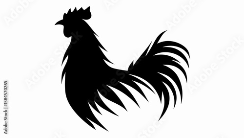 Silhouette of a rooster with detailed feathers and comb in a simple black and white design style