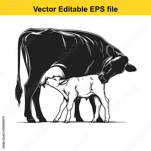 A black and white illustration of a cow nursing its calf, symbolising maternal care and farm life.
