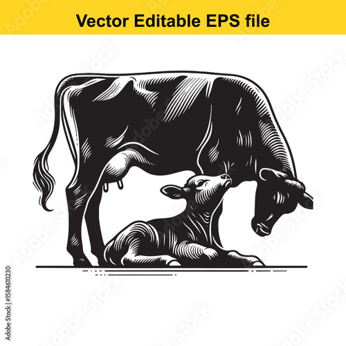 A black and white illustration of a cow nursing its calf, symbolising maternal care and farm life.