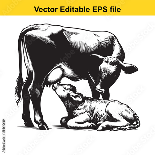 A black and white illustration of a cow nursing its calf, symbolising maternal care and farm life.