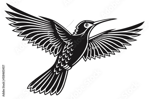 A hummingbird in flight with its wings spread wide and detailed feathers