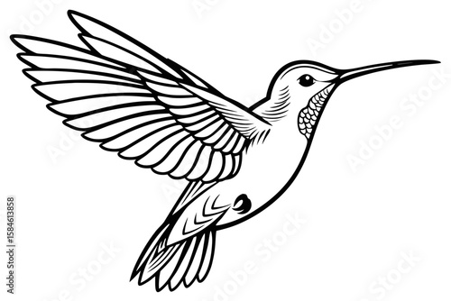 Hummingbird flying with wings spread isolated on white background