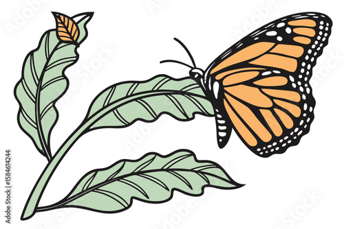 A monarch butterfly resting on a green leaf