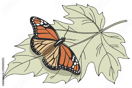 A monarch butterfly resting on a large green leaf