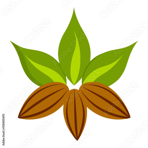 Carom seed vector illustration 