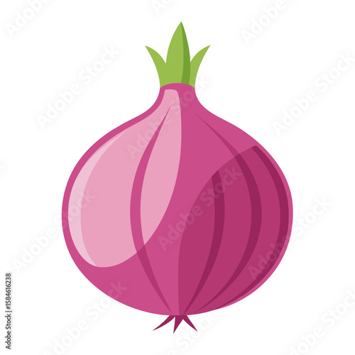  Pink color onion vector illustration 