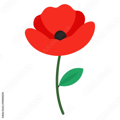 poppy seed vector illustration 