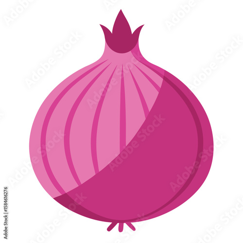  Pink color onion vector illustration 