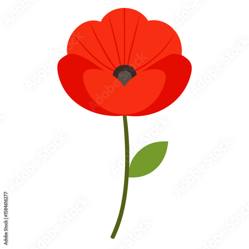 poppy seed vector illustration 