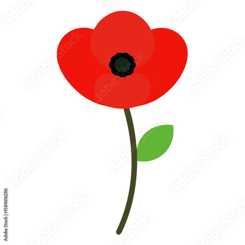 poppy seed vector illustration 
