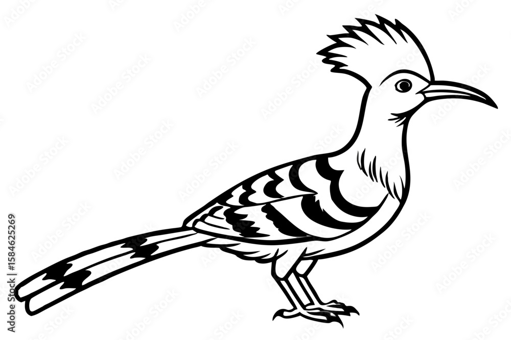 Obraz premium Hoopoe Silhouette Design