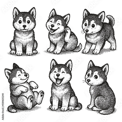 Adorable husky puppies drawn in a detailed sketch style, showing playful and happy expressions.