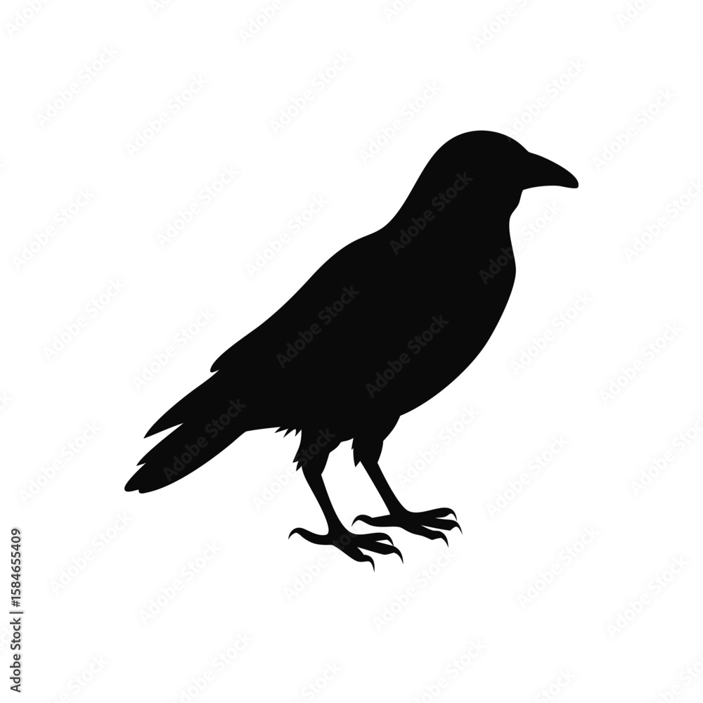 Fototapeta premium bird silhouette vector
