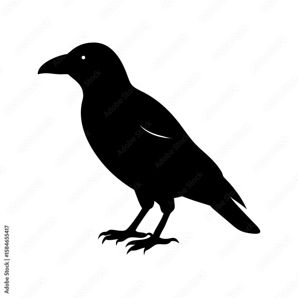 Fototapeta premium Silhouetted bird in flight against white background with shadow