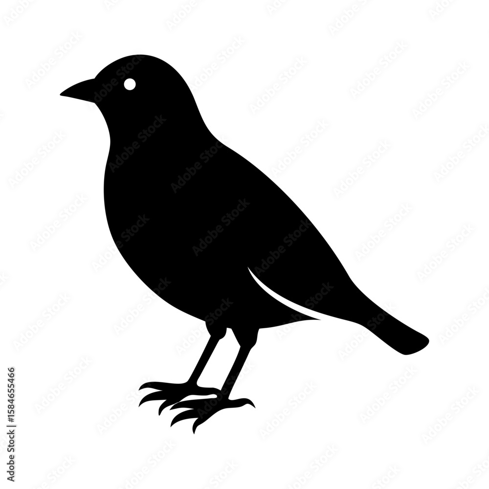 Fototapeta premium bird silhouette vector