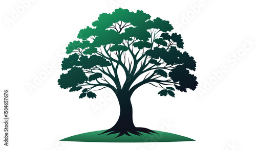 Green tree with leaves, branches, and a trunk isolated on a white background, symbolizing nature and ecology