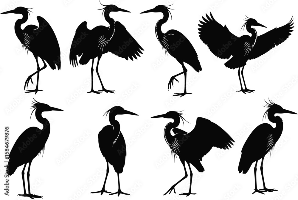 Fototapeta premium Collection of elegant black heron silhouettes in various poses on a white background