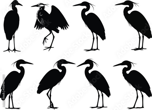 Collection of black silhouette herons standing and displaying wings on white background