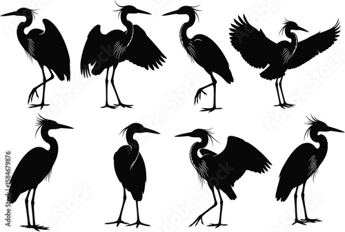 Collection of elegant black heron silhouettes in various poses on a white background
