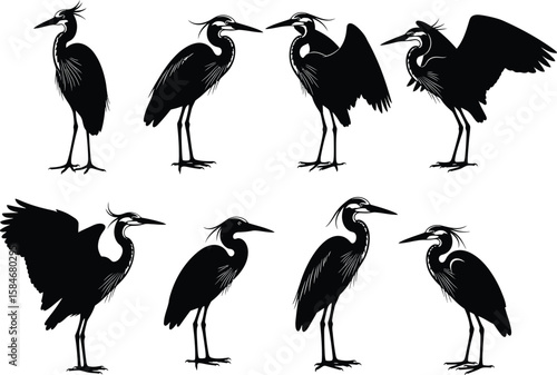 Collection of eight black silhouette illustrations of herons in various poses on white background