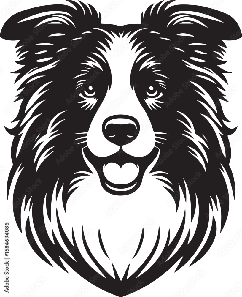 Fototapeta premium Border Collie Dog Vector – Silhouette 
