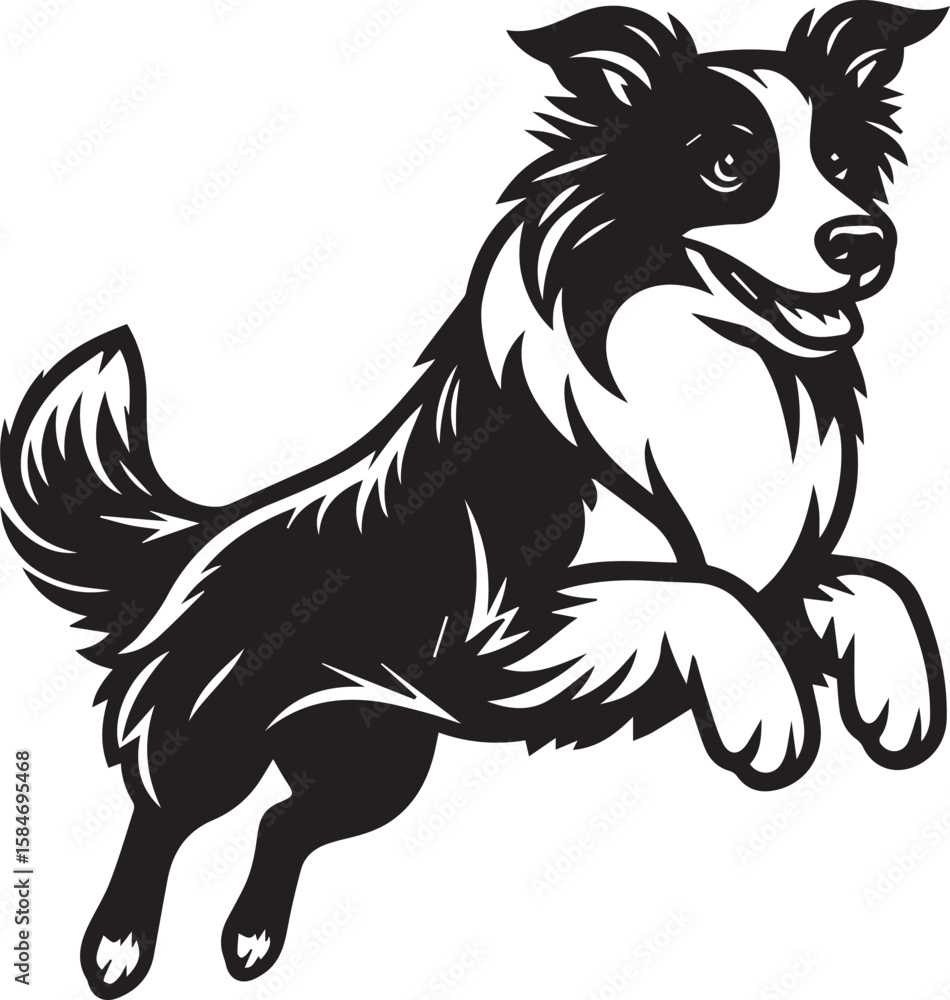 Obraz premium Border Collie Dog Vector – Silhouette 
