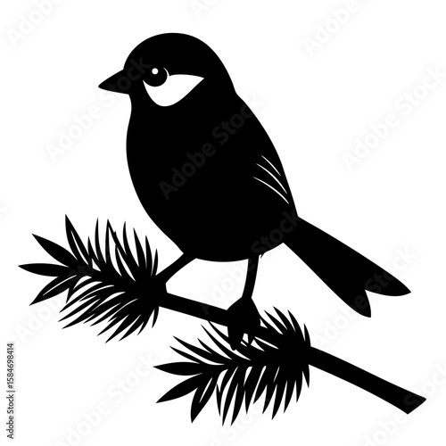 Elegant silhouette of a chickadee bird perched on a pine branch