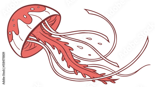 Illustration of a jellyfish aquatic animal sea life ocean creature marine biology underwater wildlife art vector