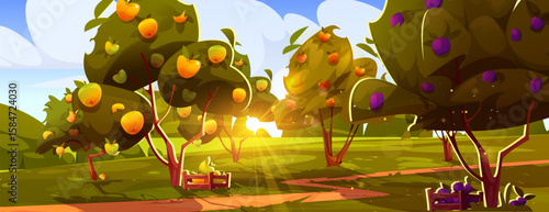 Sunny orchard landscape with fruit trees - apples and plums growing on farm. Cartoon harvest scene with wooden crates, winding path through countryside fields. Rural farming agriculture background.