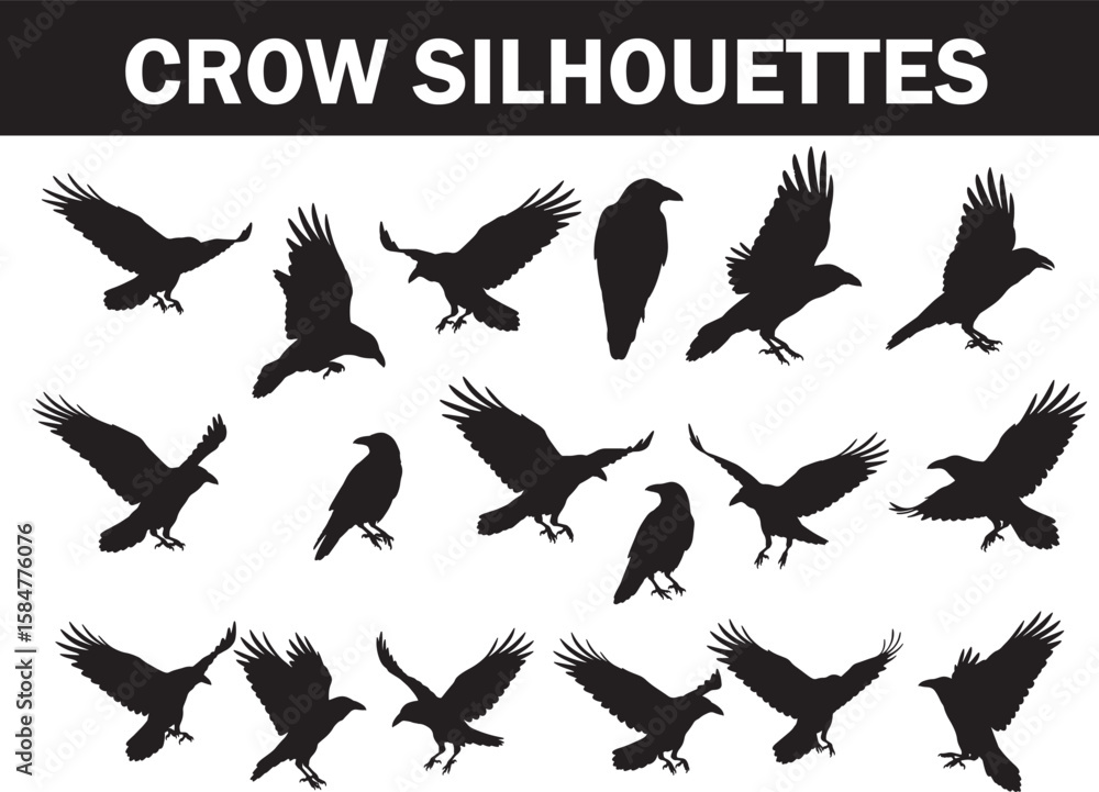 Obraz premium Large collection of various black crow silhouettes in different flying, standing, and perching poses, ideal for design elements and spooky Halloween themes