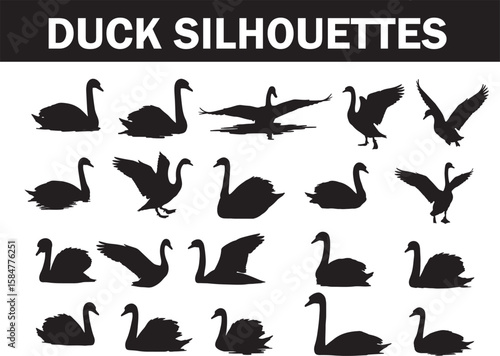 Diverse duck and swan silhouettes in various poses, perfect for nature, wildlife, or outdoor-themed design projects, offering versatile vector illustrations for creative applications