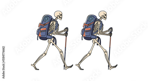 Two Skeletons with Backpacks and Trekking Poles Walking Together on a White Background