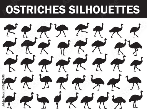 Diverse collection of ostrich silhouettes, ideal for wildlife themes, safari designs, educational materials, and African savanna projects, featuring various poses of this iconic flightless bird